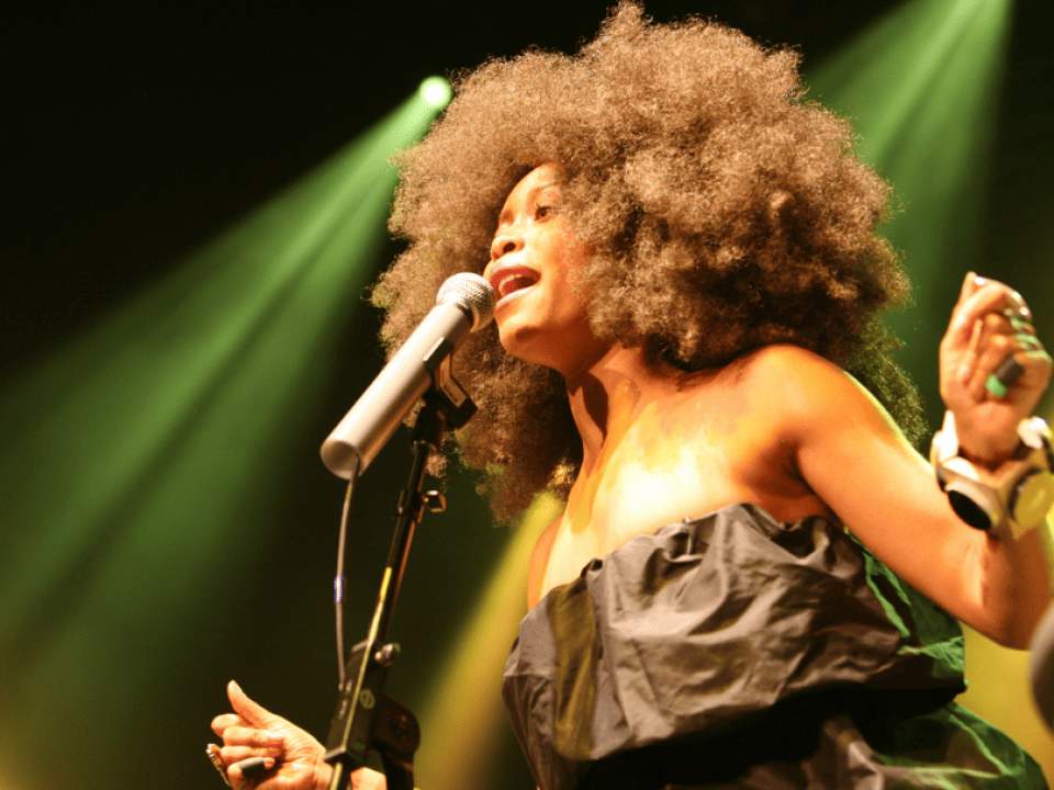 20 slang words popularized by hit songs